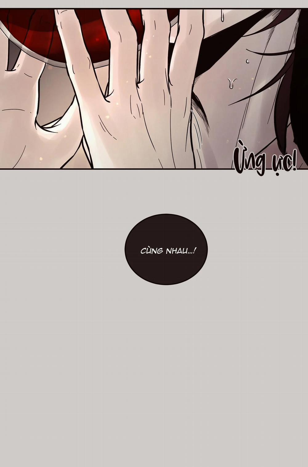 Thỏ Bắc Cực 5 trang 39