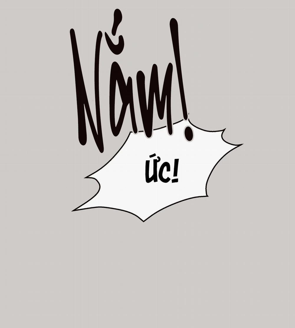 Thỏ Bắc Cực 7 trang 16