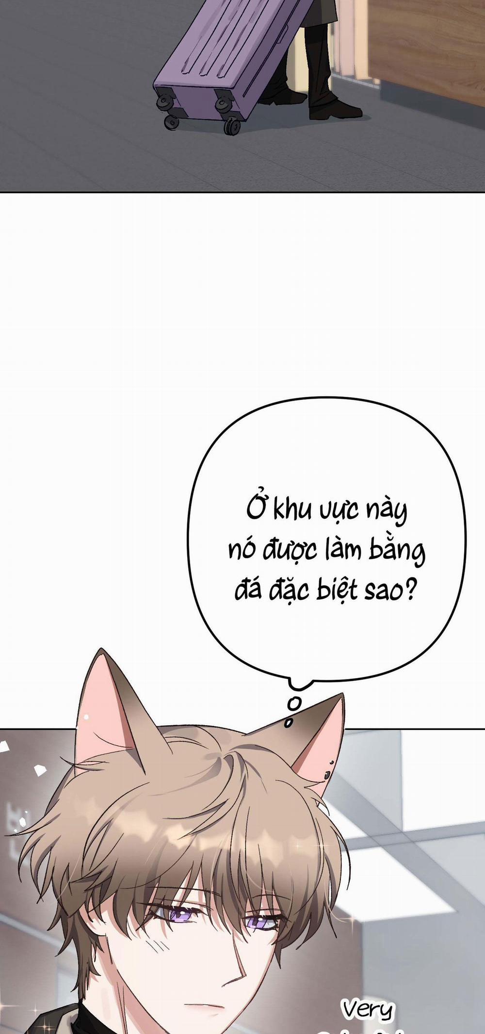 THỎ NHỎ XUẤT TINH TRONG 3 GIÂY (END) 1 trang 5