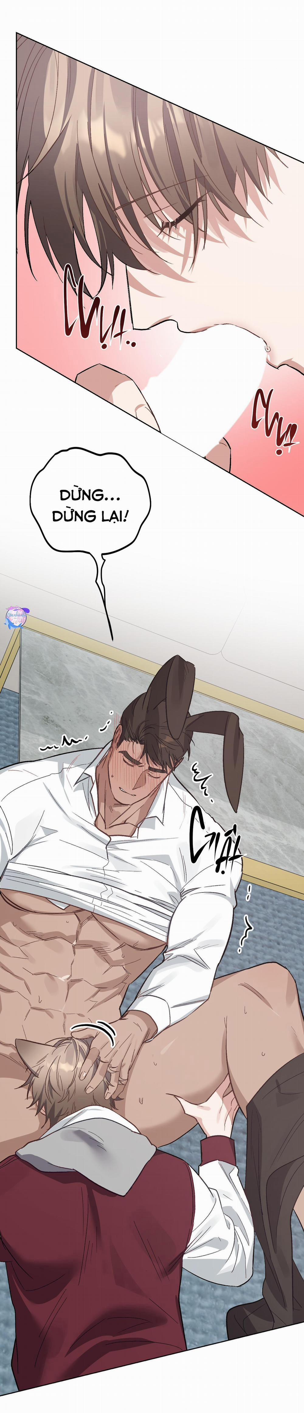 THỎ NHỎ XUẤT TINH TRONG 3 GIÂY (END) 12 NT END trang 64