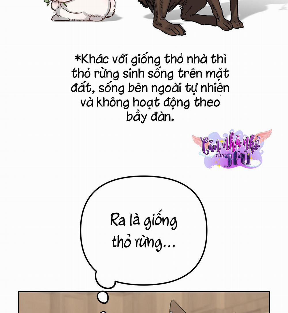 THỎ NHỎ XUẤT TINH TRONG 3 GIÂY (END) 2 trang 87