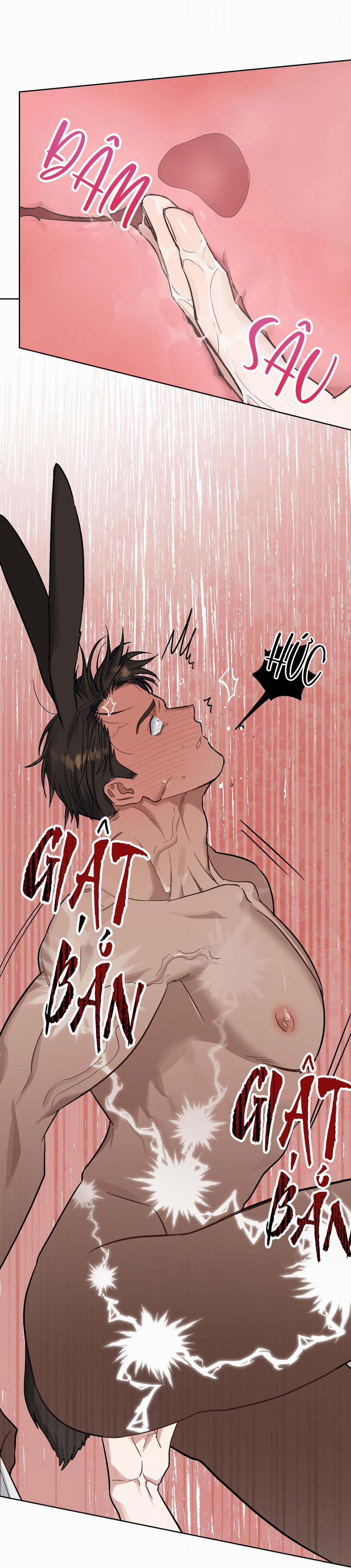 THỎ NHỎ XUẤT TINH TRONG 3 GIÂY (END) 4 trang 40