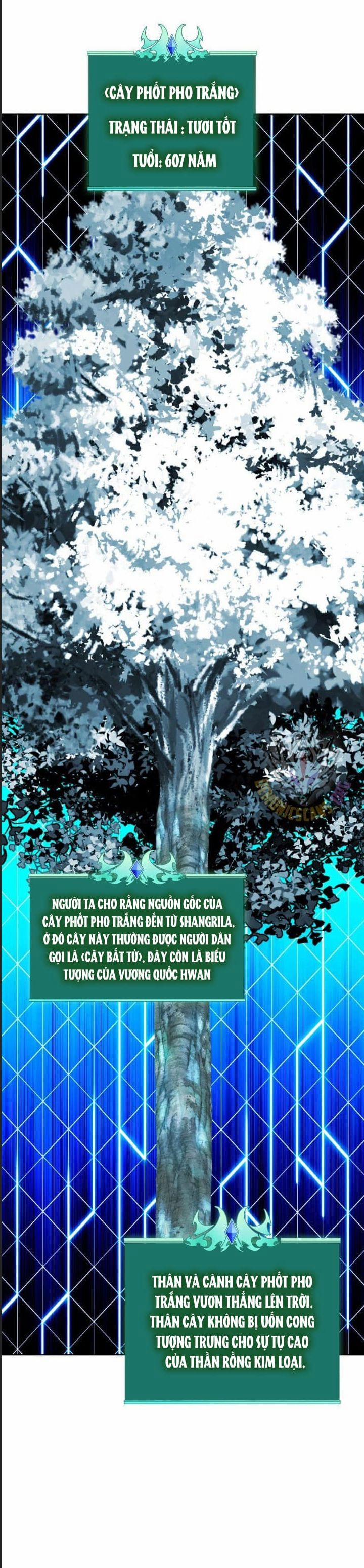 Thợ Rèn Huyền Thoại 253 trang 9