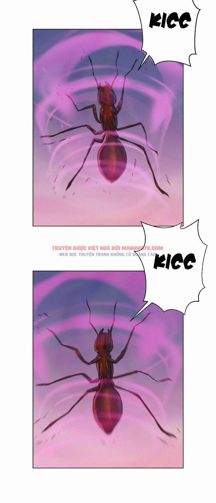 Thợ Săn 3 Cm 58 trang 29