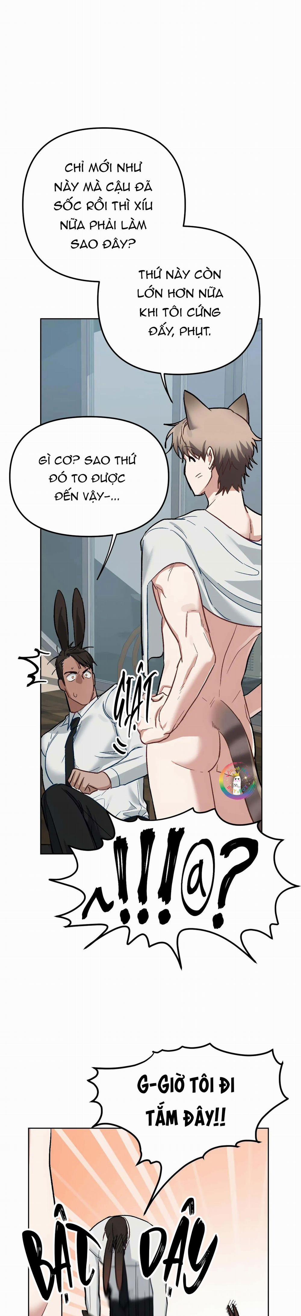 Thỏ Xuất Tinh Trong Vòng 3 Giây 3 trang 14