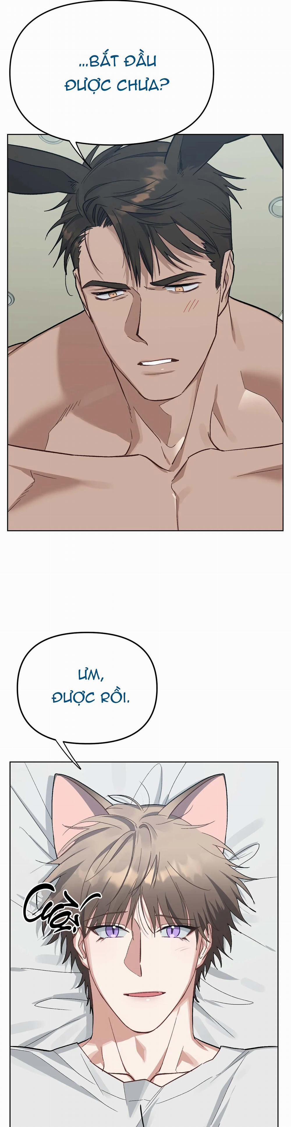 Thỏ Xuất Tinh Trong Vòng 3 Giây 4 H+++ trang 5