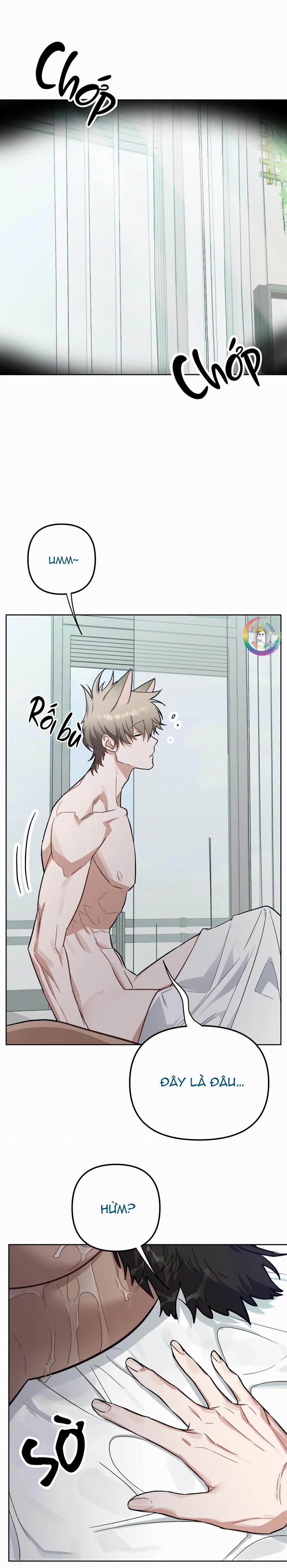 Thỏ Xuất Tinh Trong Vòng 3 Giây 5 H+++ trang 1