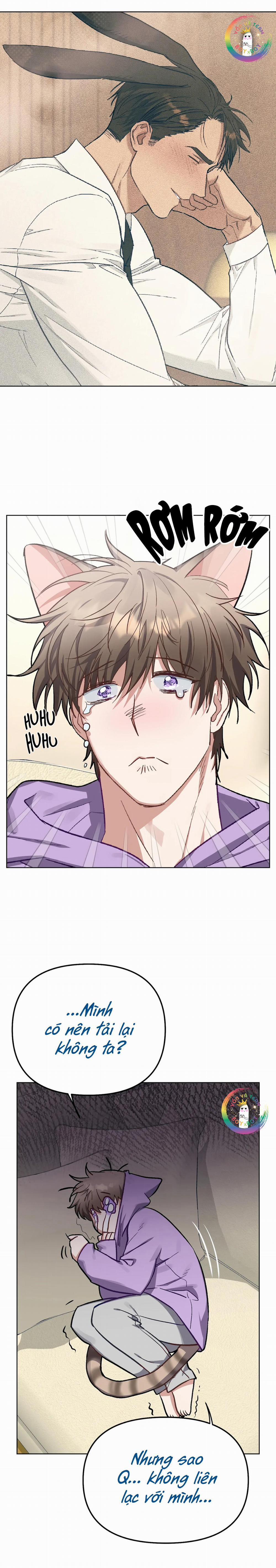 Thỏ Xuất Tinh Trong Vòng 3 Giây 6 trang 13