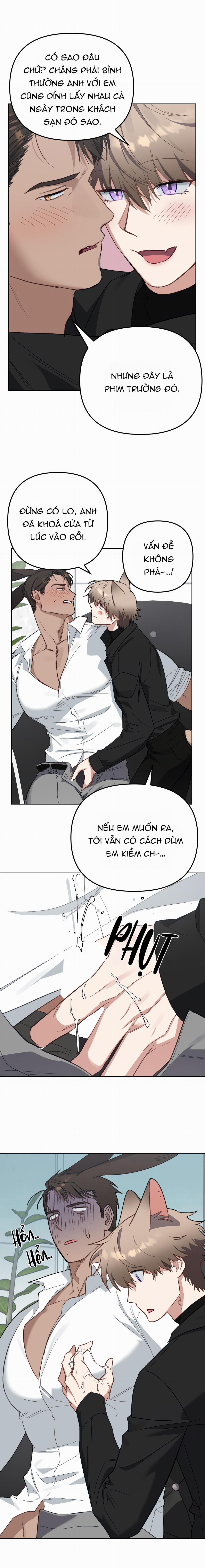 Thỏ Xuất Tinh Trong Vòng 3 Giây 8 0 làm lành trang 7