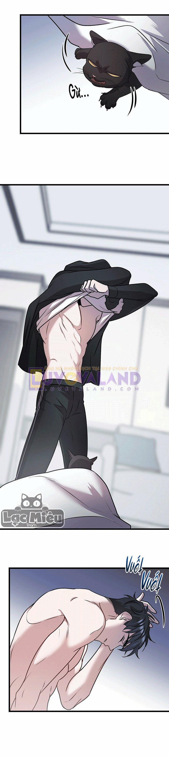 Thoát Khỏi Đau Thương 13 trang 16