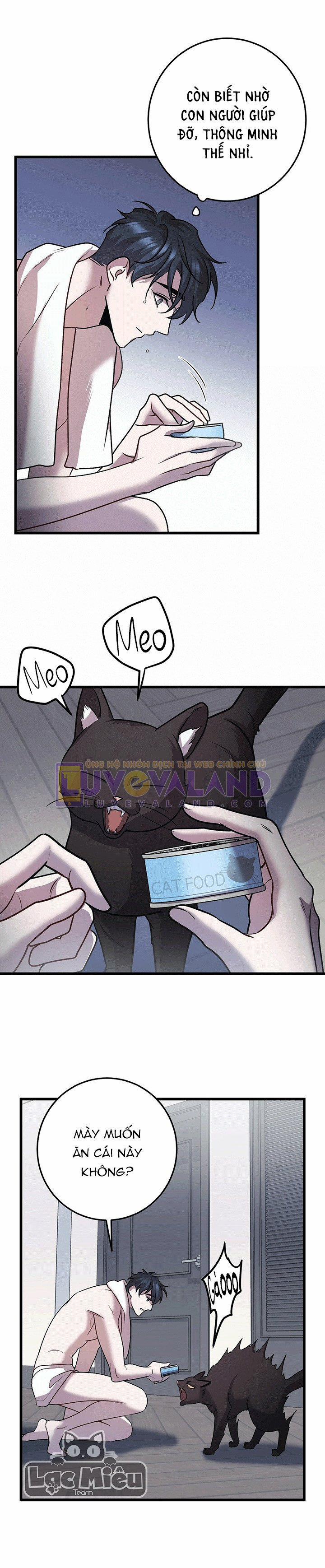 Thoát Khỏi Đau Thương 13 trang 19