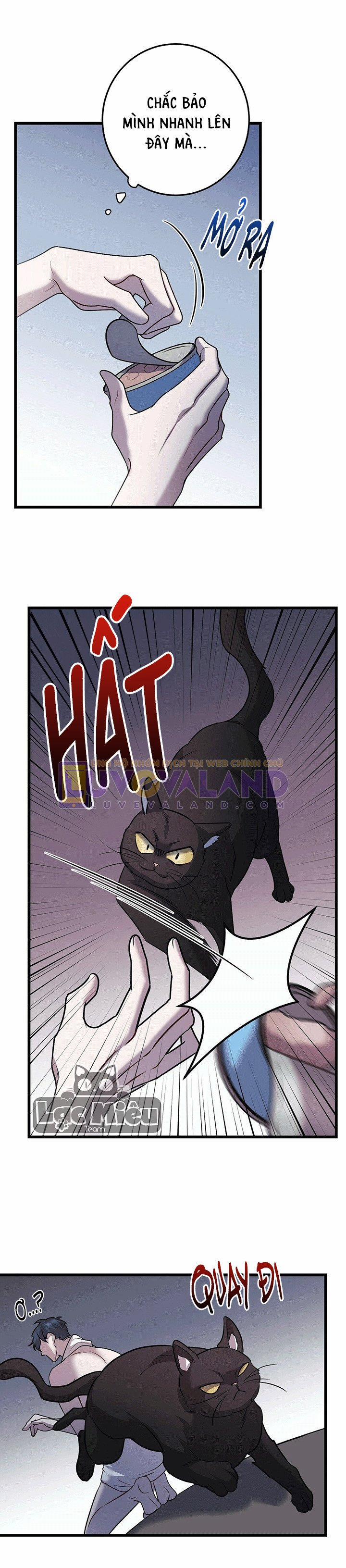 Thoát Khỏi Đau Thương 13 trang 20