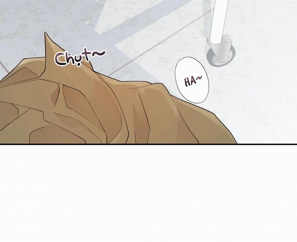 Thời gian giữa Sói và Chó 47 trang 50