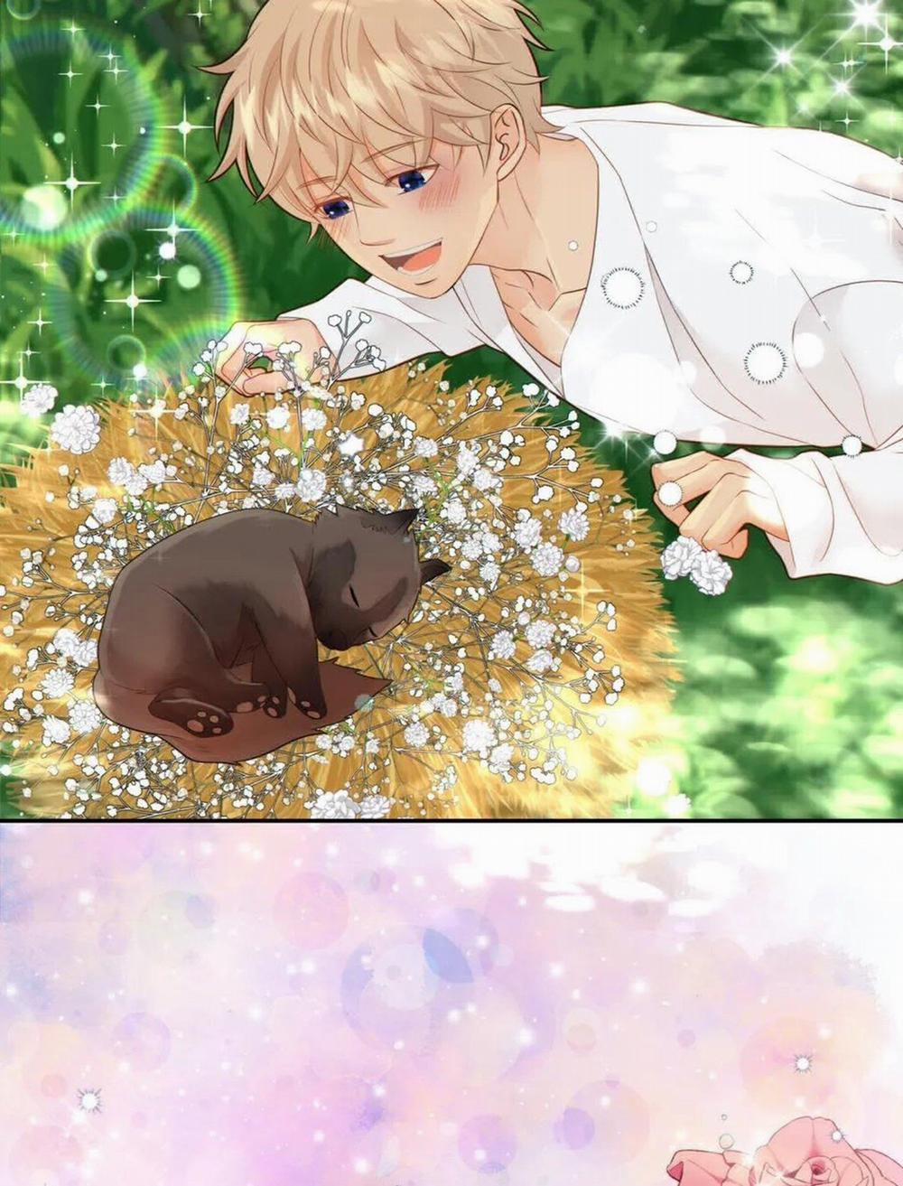 Thời gian giữa Sói và Chó 48 trang 61