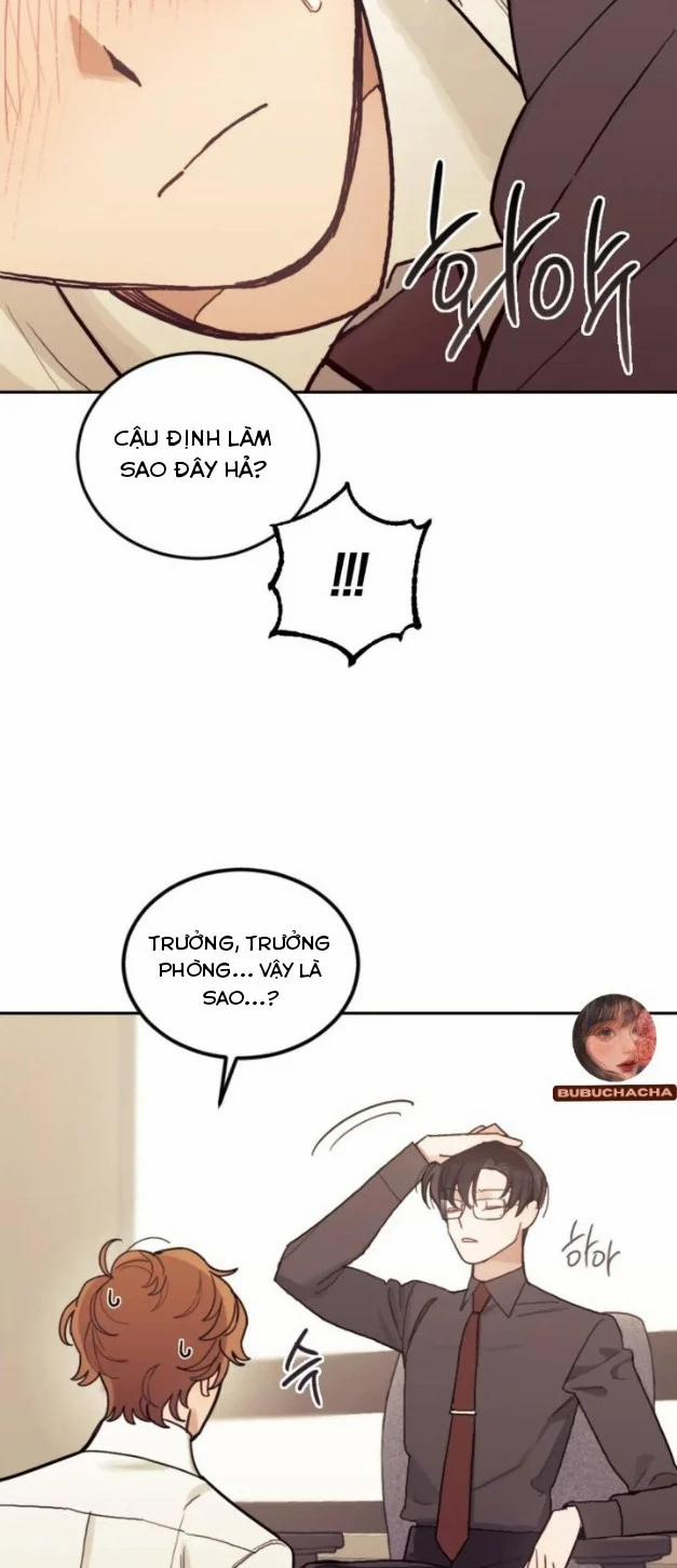 Thông Đạo 6 trang 11