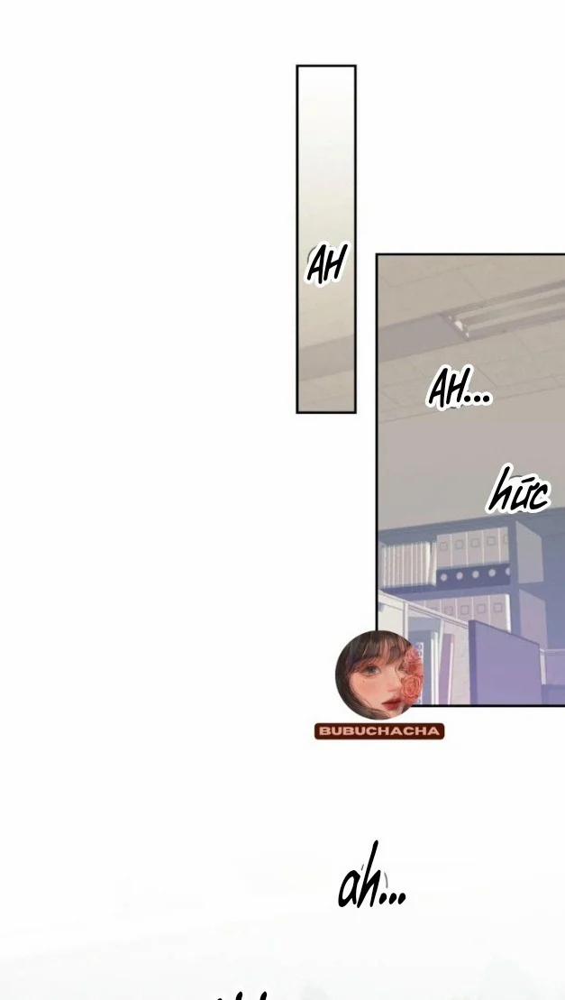 Thông Đạo 6 trang 17