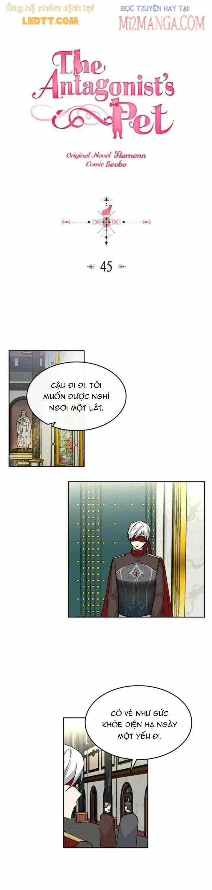 Thú Cưng Của Nhân Vật Phản Diện 45 trang 0