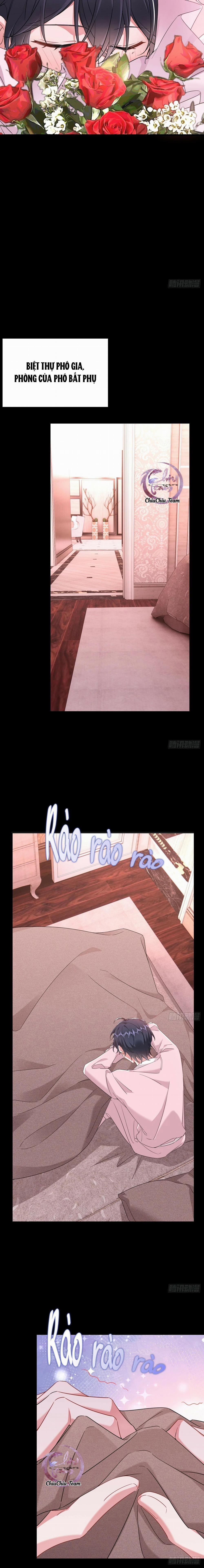 Thử Động Vào Khoai Tây Nhà Tôi Xem? 21 trang 4