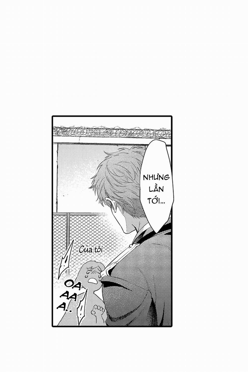 Thuần hóa chó 13 trang 22