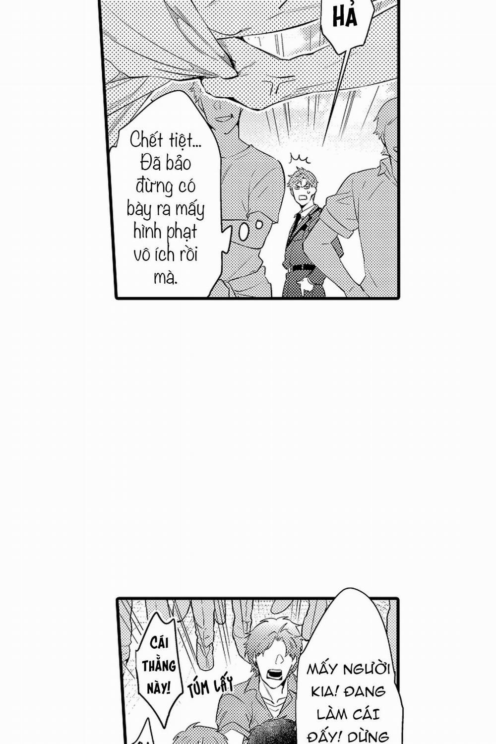 Thuần hóa chó 13 trang 24