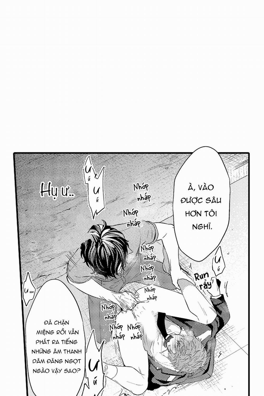 Thuần hóa chó 14 trang 40