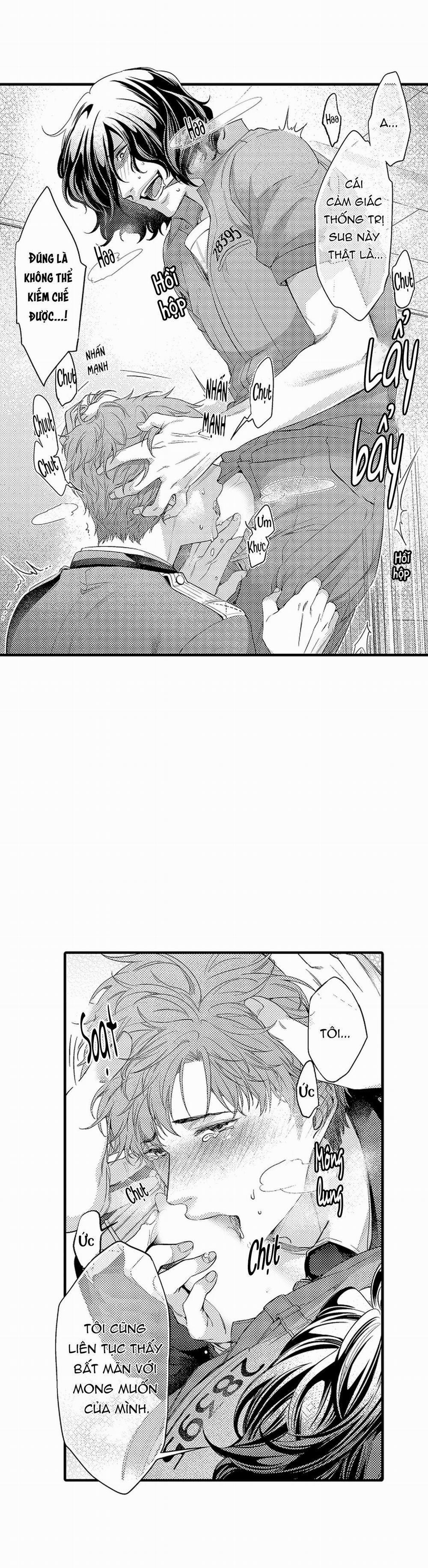 Thuần hóa chó 3 trang 13