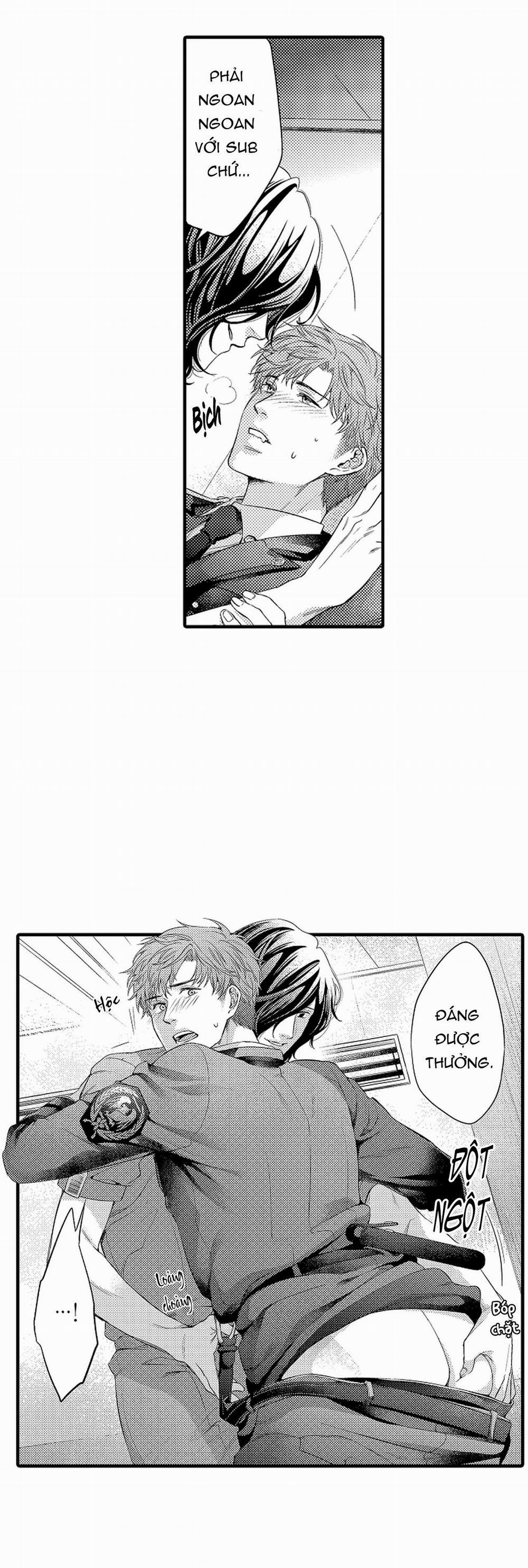 Thuần hóa chó 3 trang 15