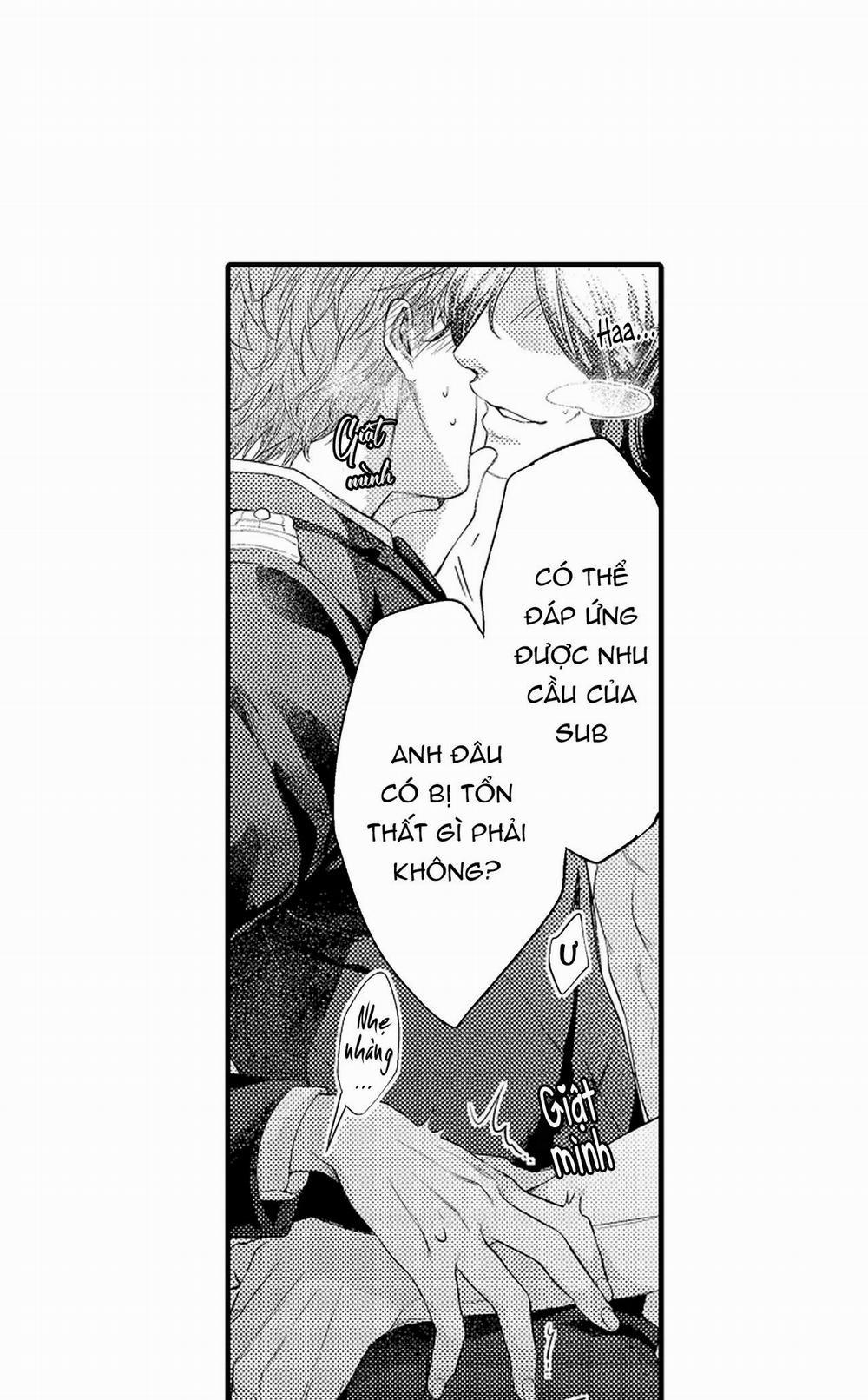 Thuần hóa chó 6 trang 14