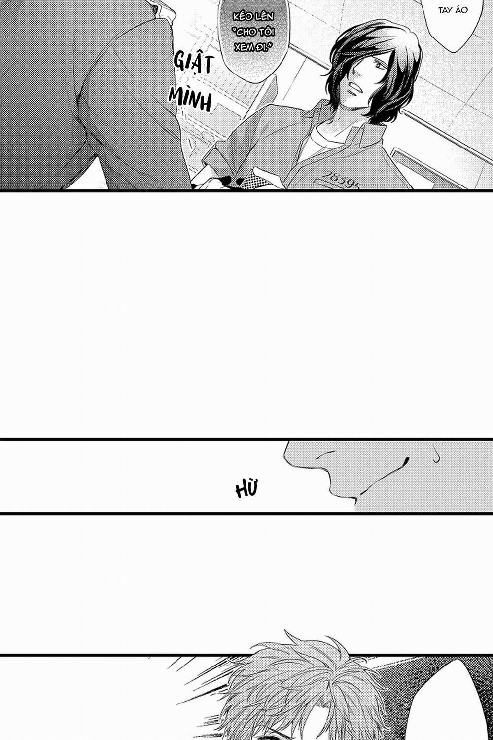 Thuần hóa chó 8 trang 4