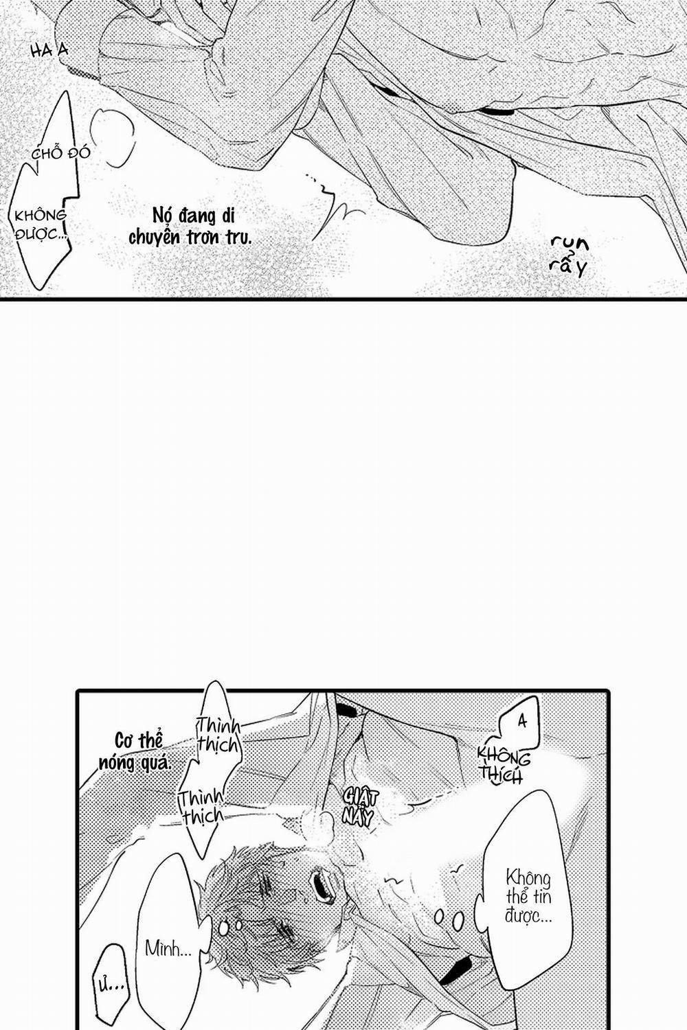 Thuần hóa chó 9 trang 16