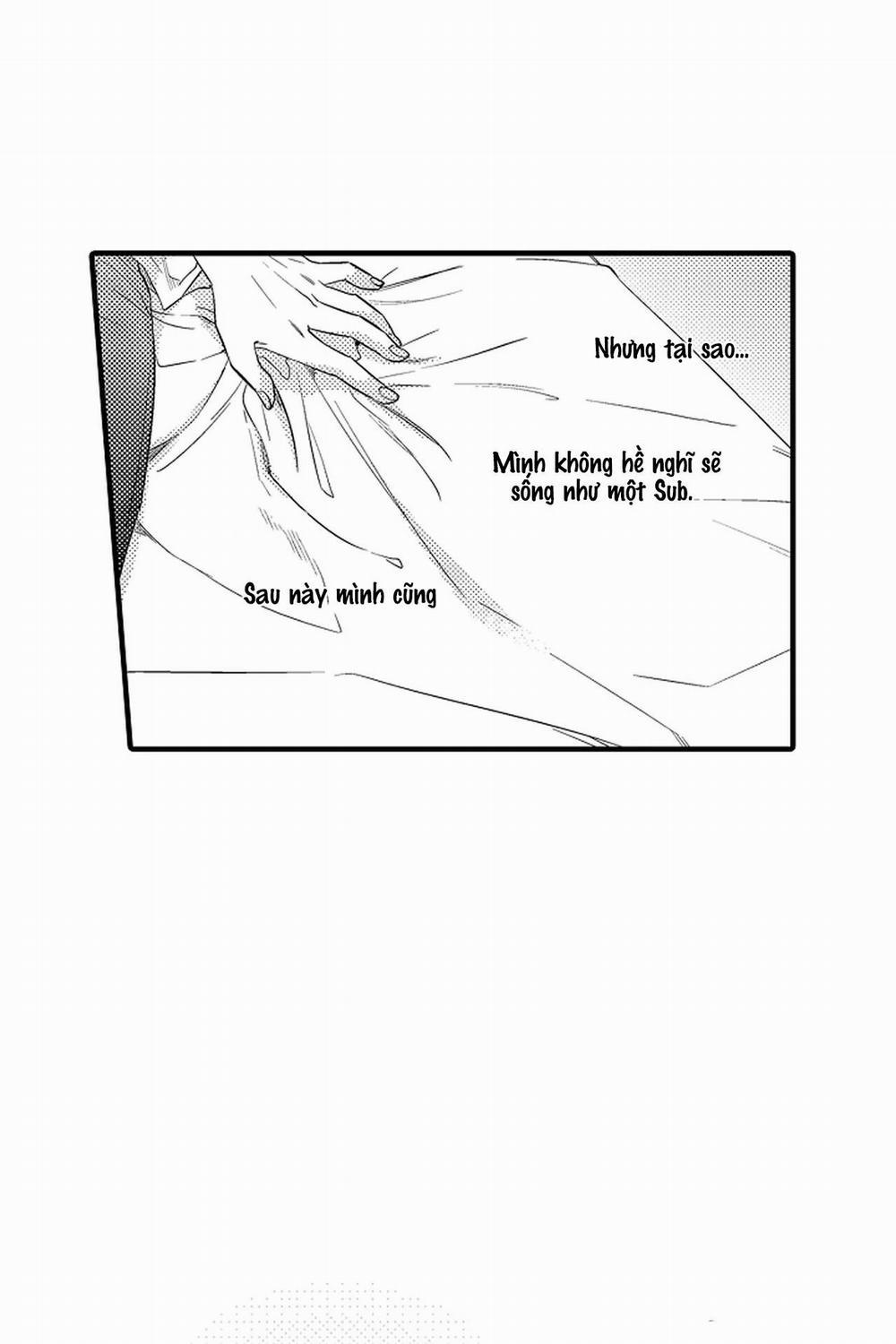 Thuần hóa chó 9 trang 35