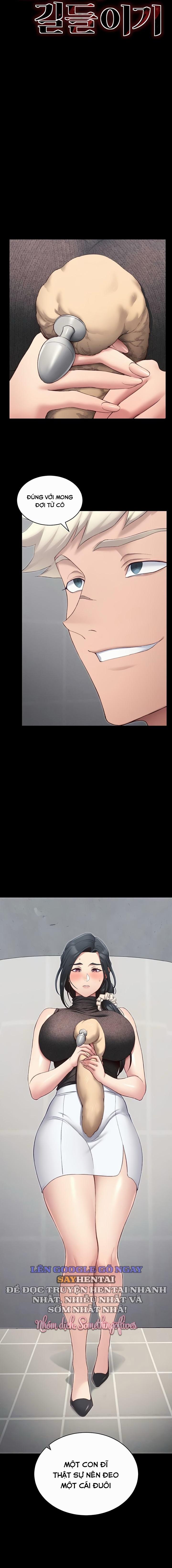 Thuần Phục Kẻ Bắt Nạt 19 trang 3