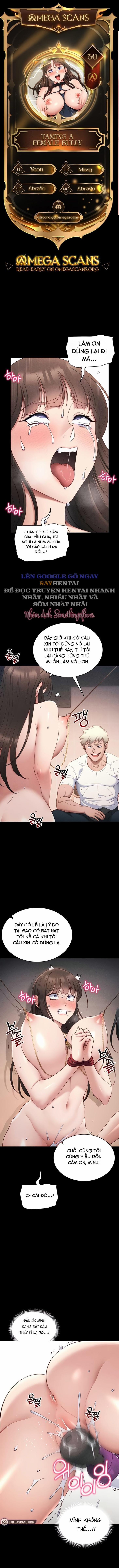 Thuần Phục Kẻ Bắt Nạt 30 trang 0
