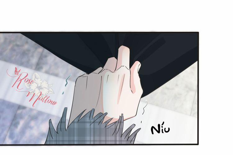 Thuần Phục 43 trang 5