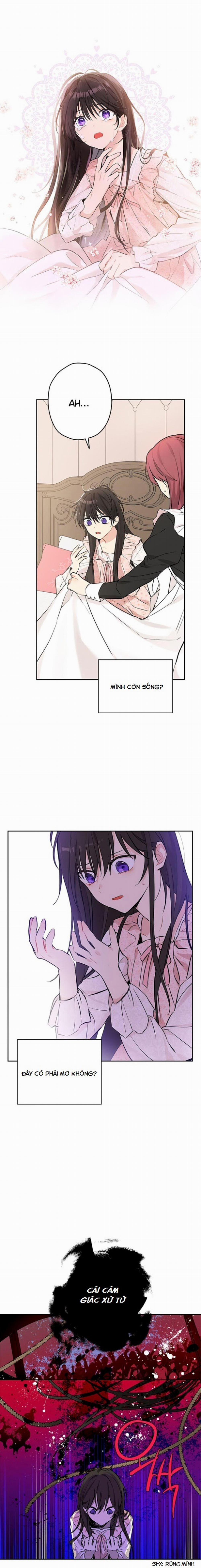 Thực Ra Tôi Mới Là Thật 6 trang 1