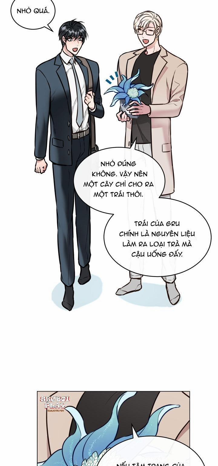 Thực Vật Trị Liệu 1 trang 31