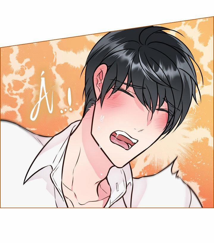 Thực Vật Trị Liệu 3 trang 19