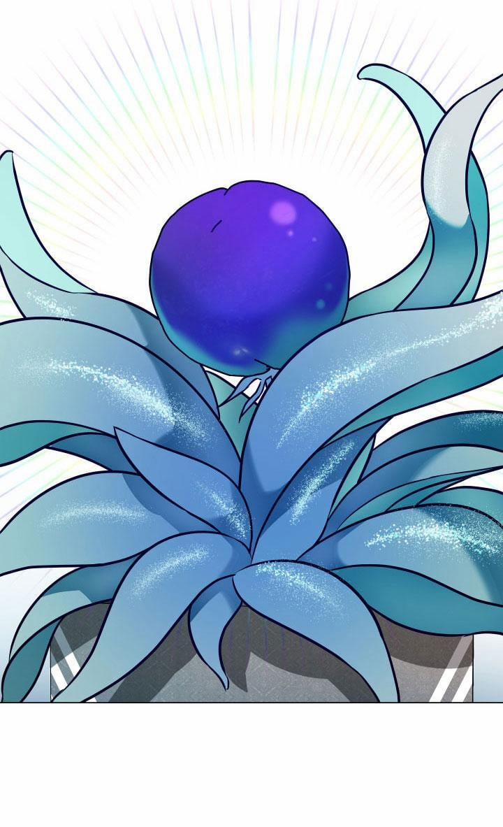 Thực Vật Trị Liệu 3 trang 24