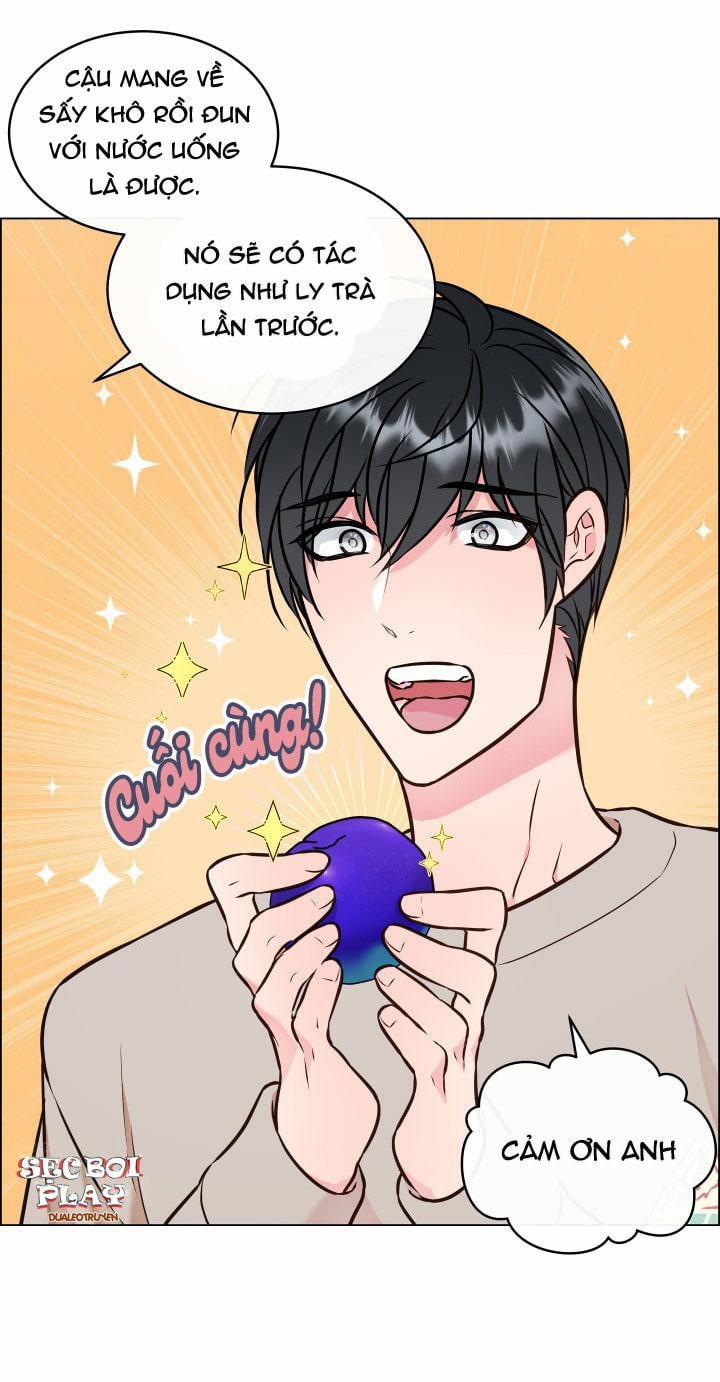 Thực Vật Trị Liệu 3 trang 26