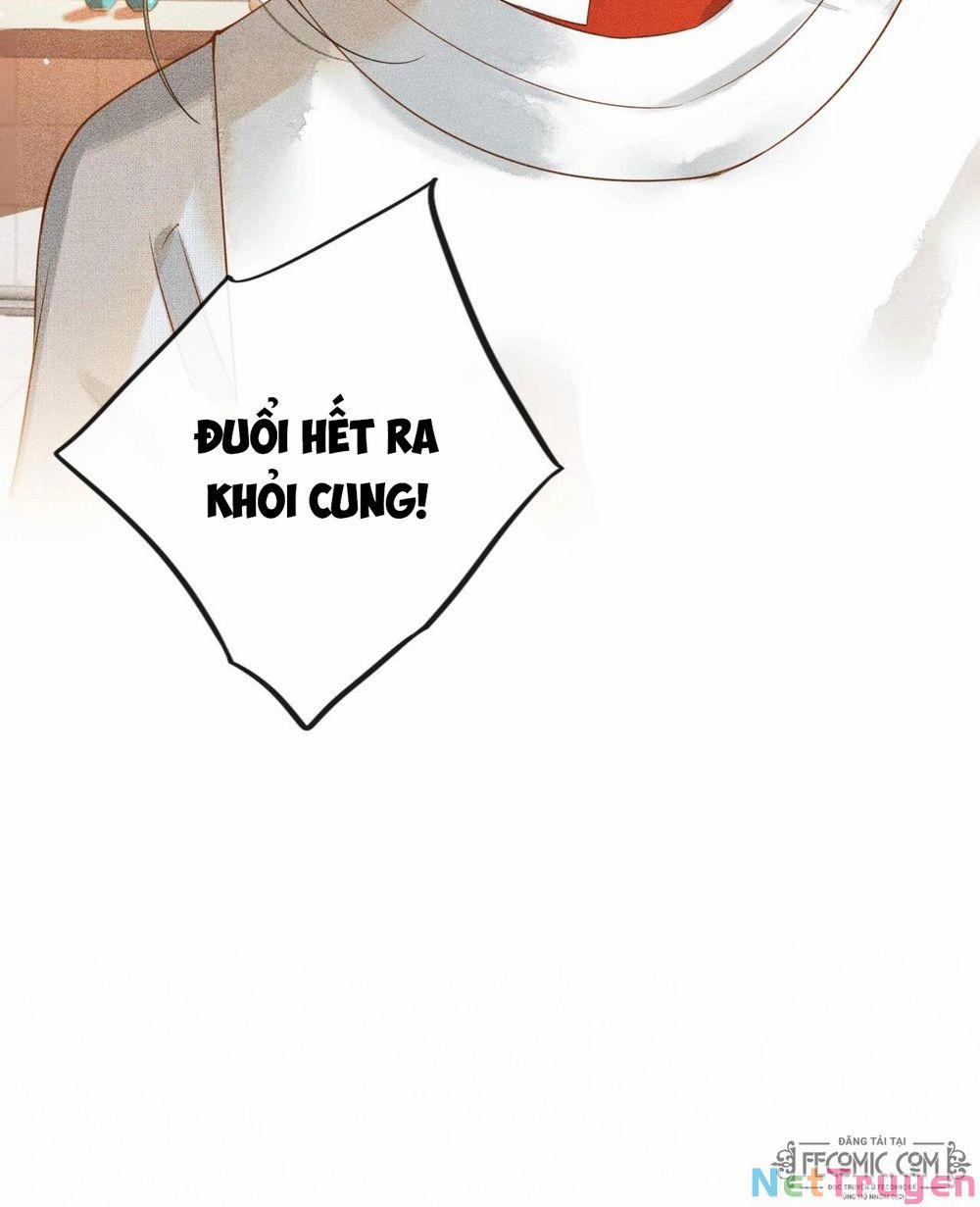 Thượng Thực 1 trang 41