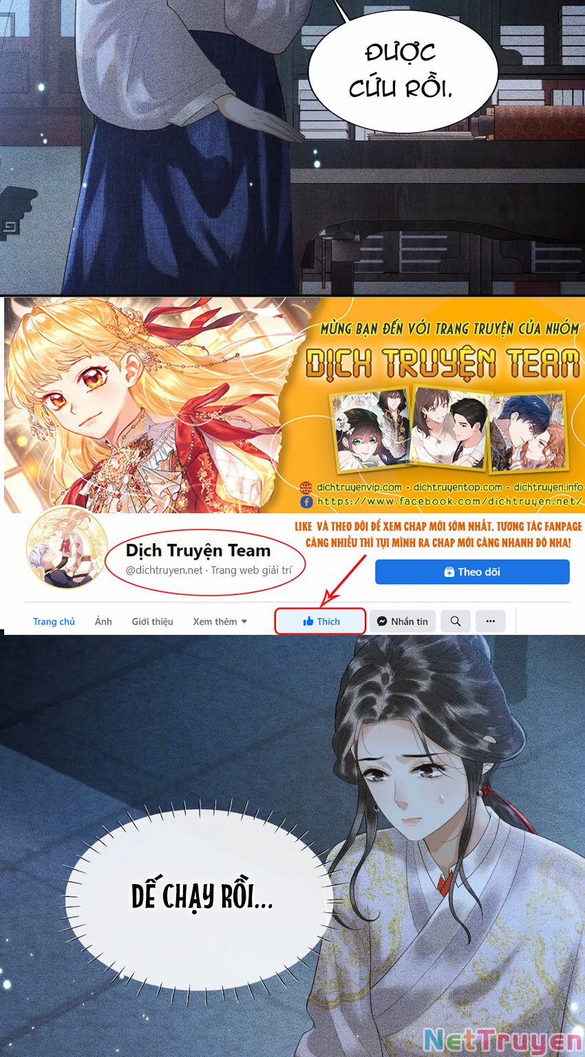 Thượng Thực 10 trang 8