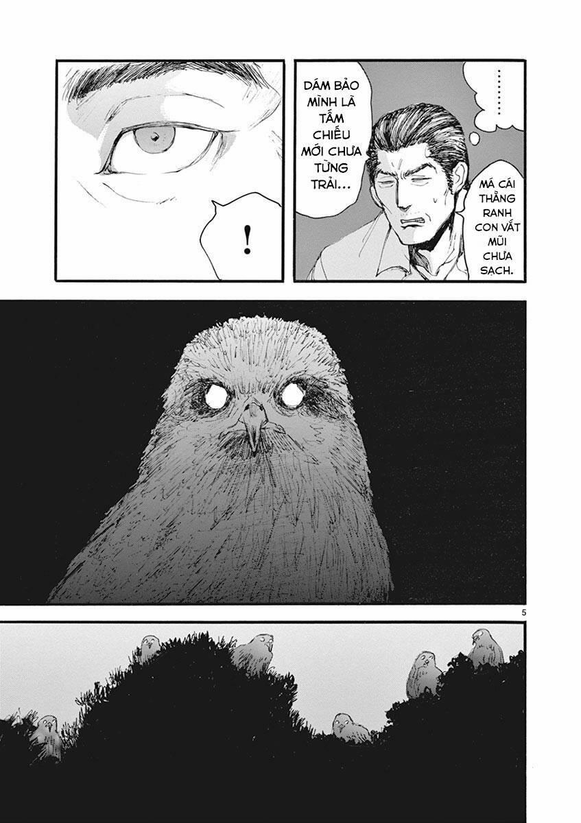 Tia Sáng Xinh Đẹp 19 trang 6