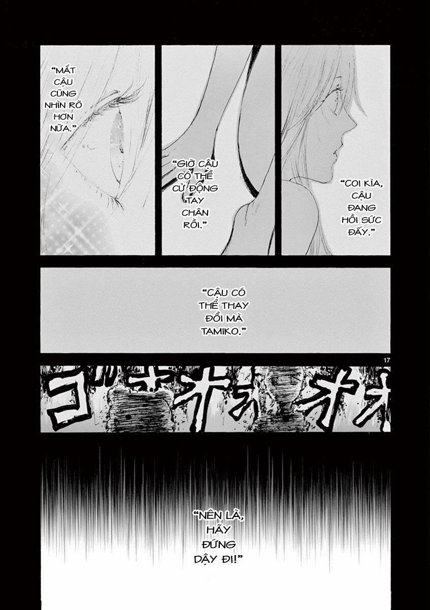 Tia Sáng Xinh Đẹp 27 trang 18