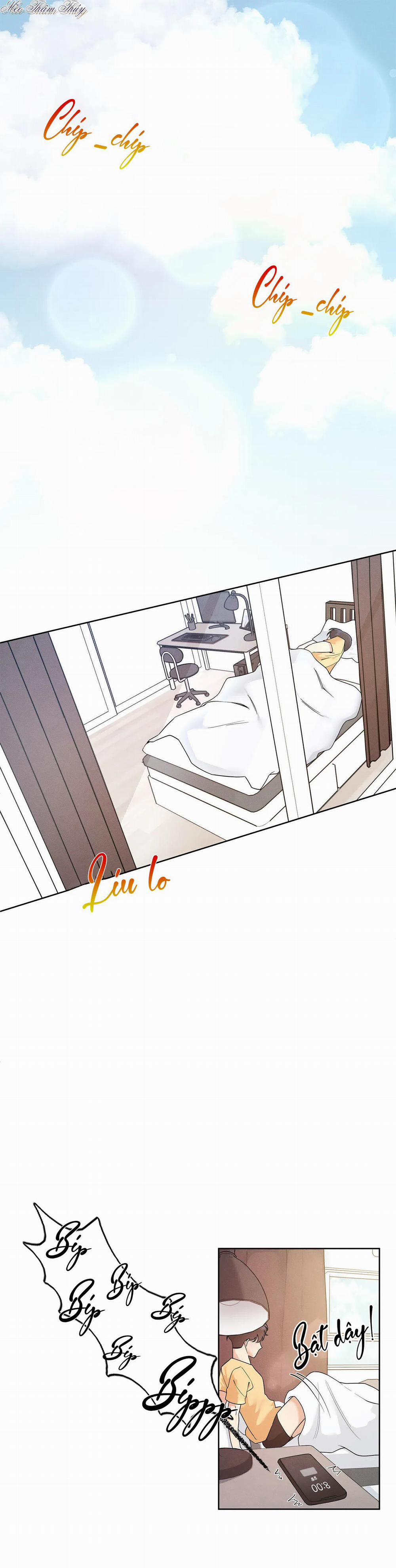 Tiền Bối Của Tôi 2 trang 0