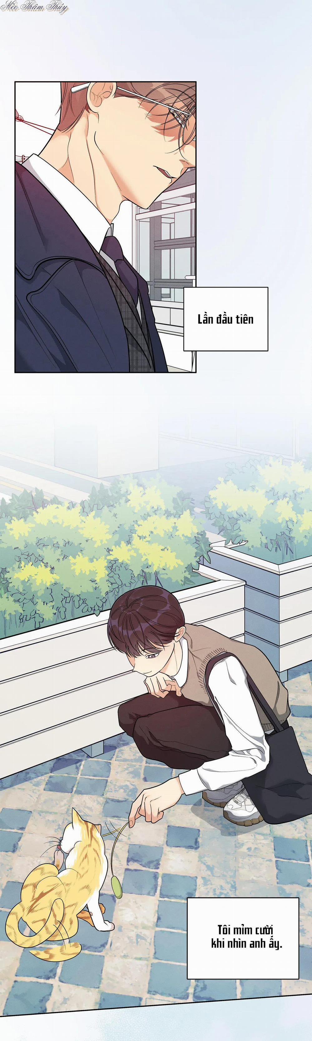 Tiền Bối Của Tôi 3 trang 1