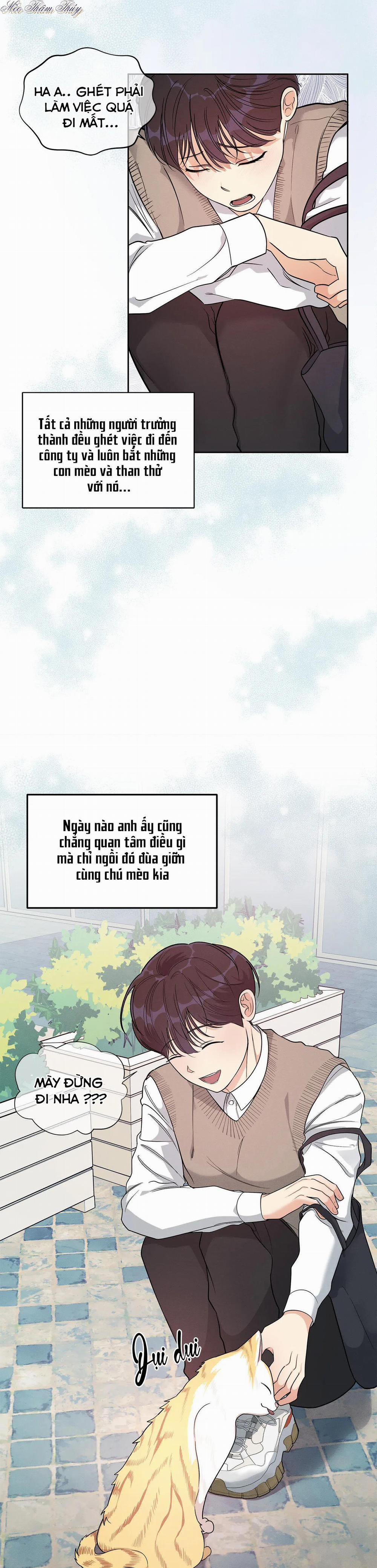 Tiền Bối Của Tôi 3 trang 2