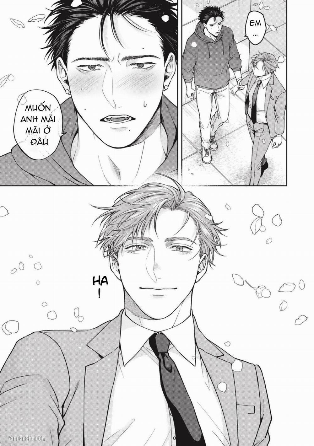 Tiền Bối Dịu Dàng Của Tôi 2 trang 2