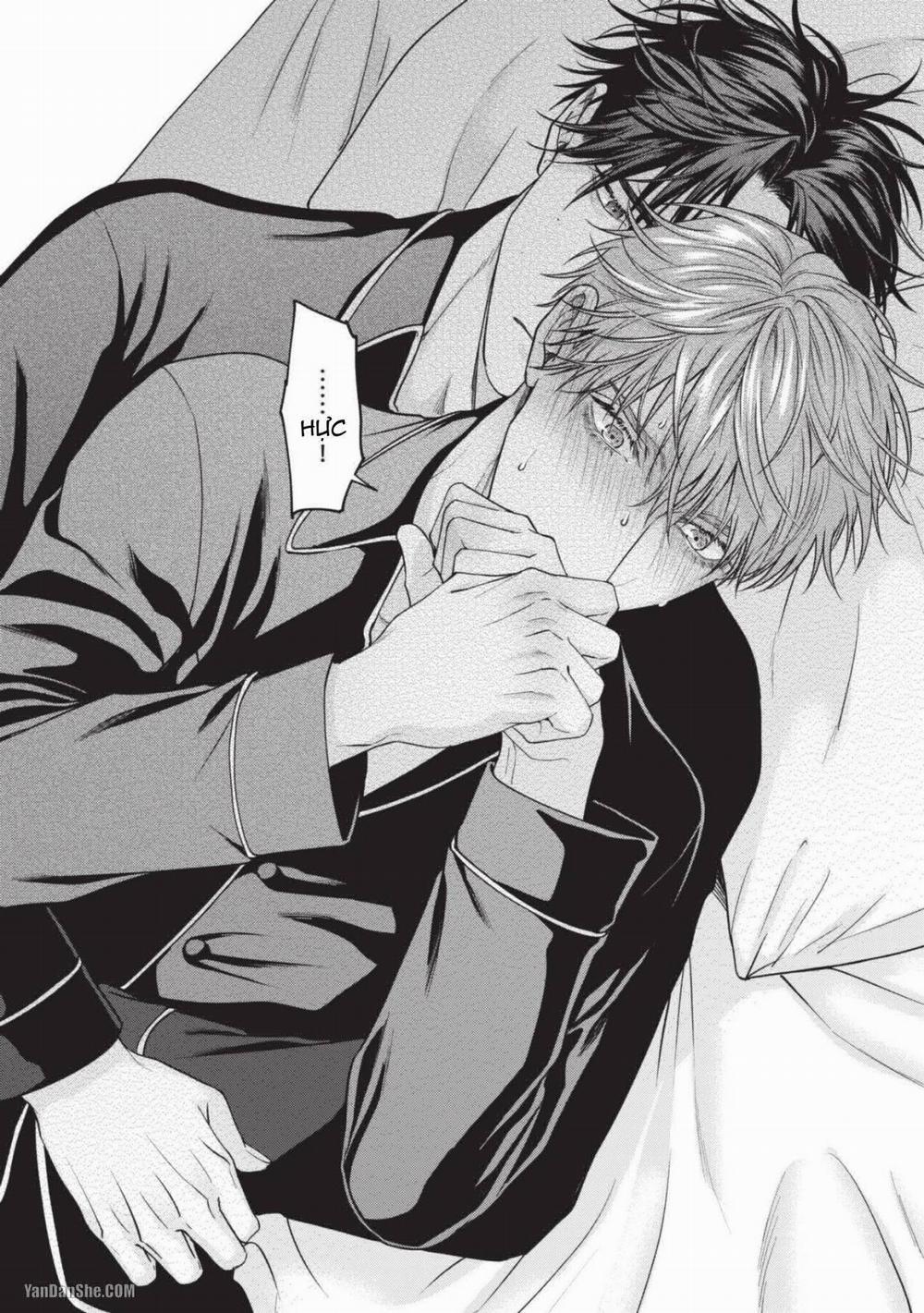 Tiền Bối Dịu Dàng Của Tôi 4 trang 15