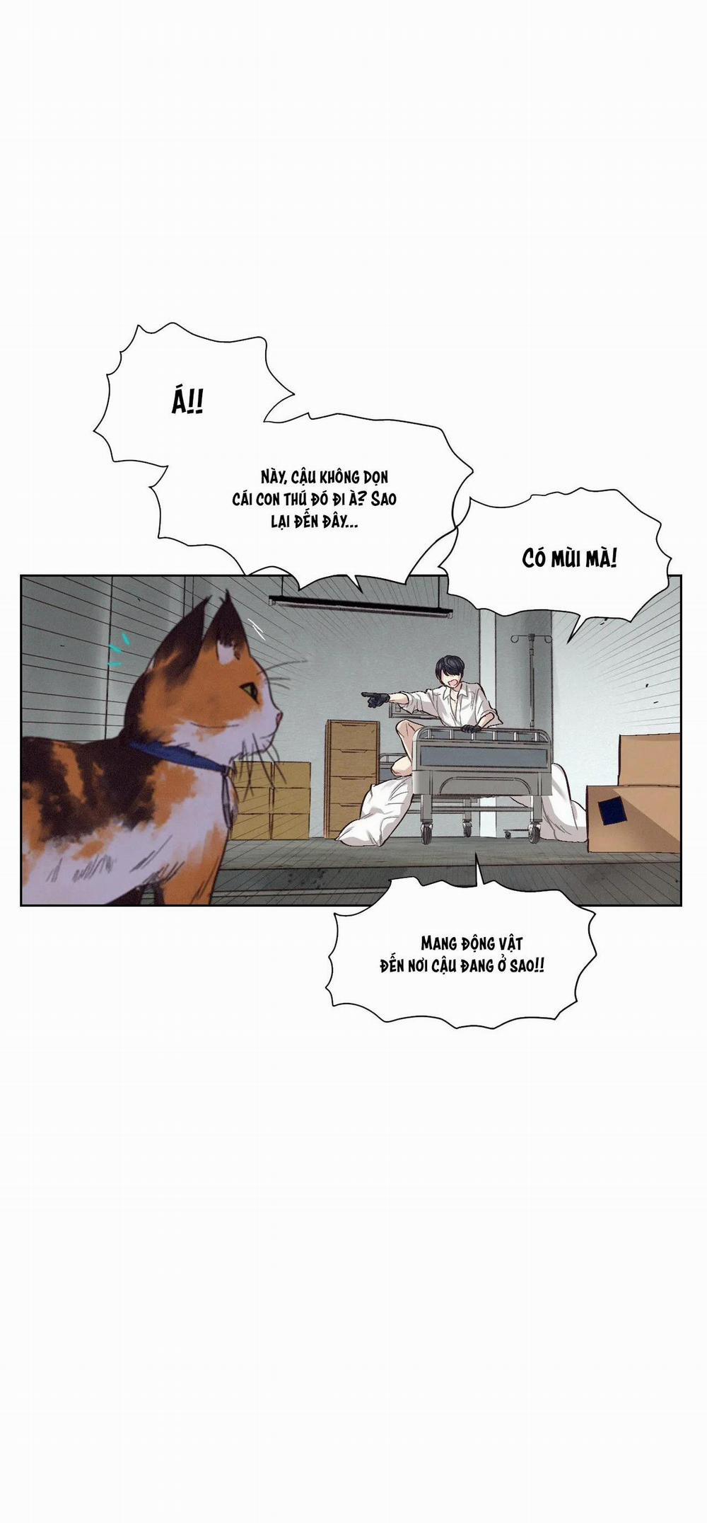 Tiền bối mắc chứng sạch sẽ 3 trang 35