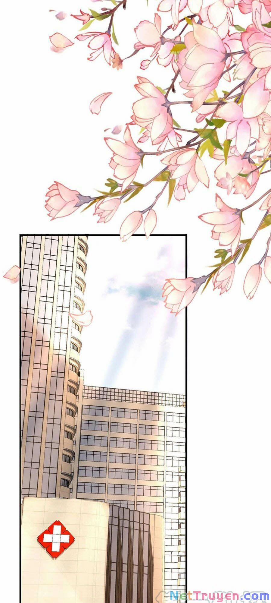 Tiến Độ Chia Tay 99% 91 trang 0